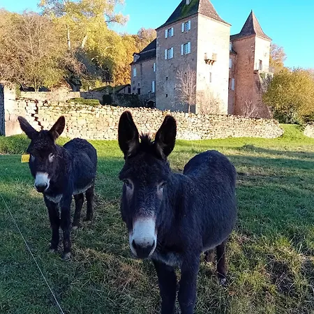 Manoir Du Boscau, Gilles Del Bosc Prudhomat