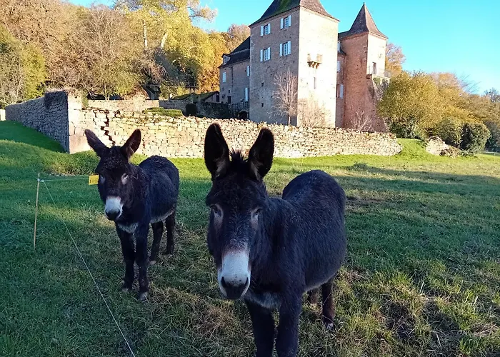 Manoir Du Boscau, Gilles Del Bosc Prudhomat