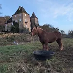 Apartment Manoir Du Boscau, Gilles Del Bosc *